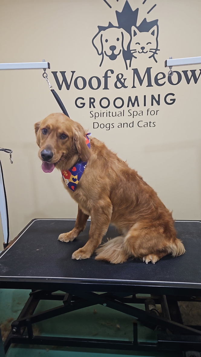 AE62C5A8-102F-4CE5-BC15-8CA08F52240B_1_105_c