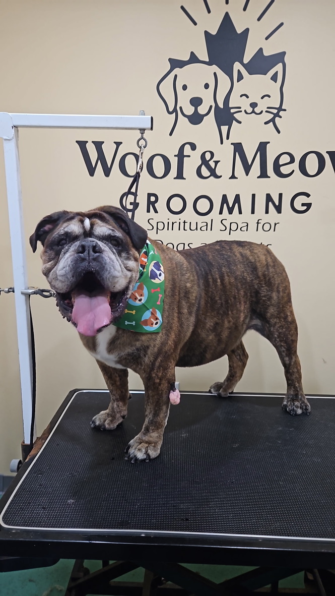 2A647404-9D18-4A18-99C0-7AAC6E0376A3_1_105_c