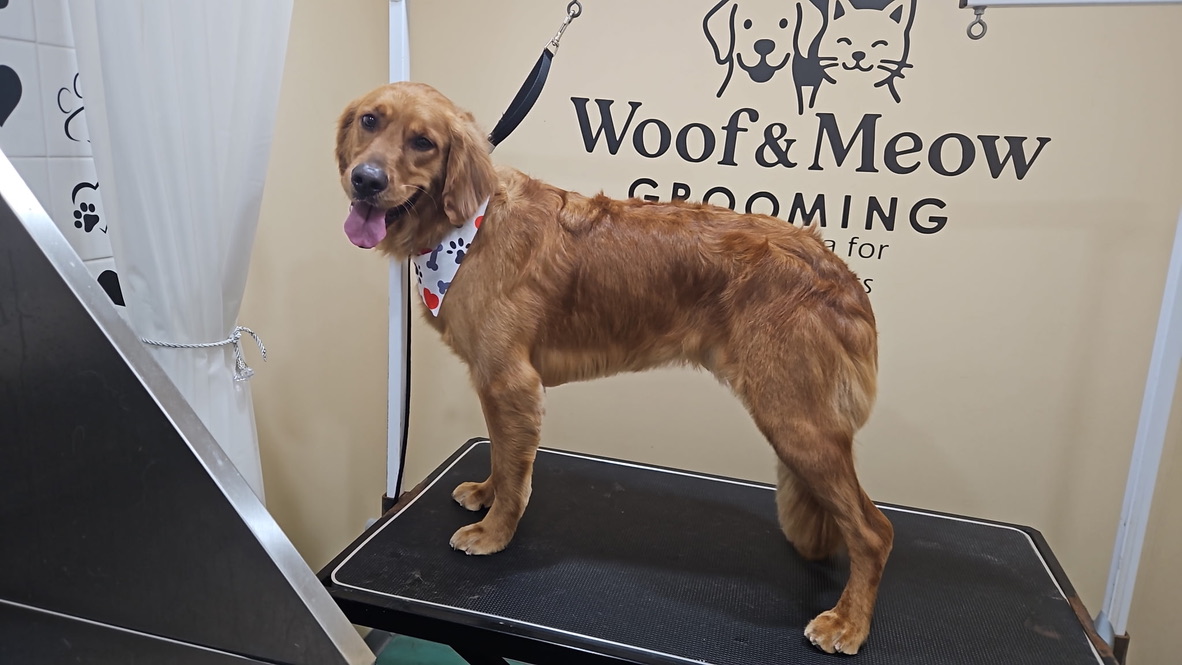 8ADB6AB3-488C-4E81-BCDE-A59D82C29577_1_105_c